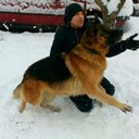 ���������� ����, ���� ������� Roman, 33 ����, ������������ ��� ������, ����� � ���������, c�������� ���������