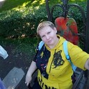 ���������� ������, ���� ������� ��������, 37 ���, ������������ ��� c�������� ���������, ���������