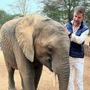 ���������� ������������, ���� ������� ������, 41 ���, ������������ ��� ������, ����� � ���������, c�������� ���������, ���������