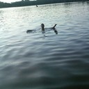 ���������� ������, ���� ������� ARTUR, 35 ���, ������������ ��� ������, ����� � ���������, c�������� ���������, ���������