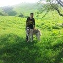  ,   , 32 ,   