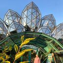 ���������� ���������, ���� ������� ����, 66 ���, ������������ ��� ����� � ���������, c�������� ���������