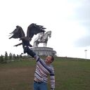 ���������� ������, ���� ������� �����, 49 ���, ������������ ��� ������, ����� � ���������