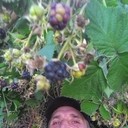 ���������� ����, ���� ������� ��� ����, 56 ���, ������������ ��� ������, ����� � ���������, c�������� ���������