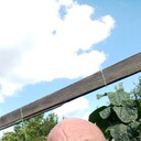  ,   , 47 ,   ,   