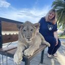 ���������� ������, ���� ������� ������, 33 ����, ������������ ��� ����� � ���������, c�������� ���������