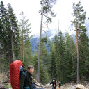 ���������� ����������, ���� ������� �������, 50 ���, ������������ ��� ������, ����� � ���������, c�������� ���������