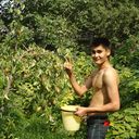 ���������� ������, ���� ������� ���, 37 ���, ������������ ��� ������