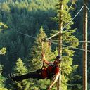 ���������� ������, ���� ������� �������, 42 ����, ������������ 