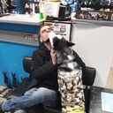  ,   , 33 ,   ,   , c 