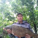 ���������� ������, ���� ������� ������, 46 ���, ������������ ��� c�������� ���������