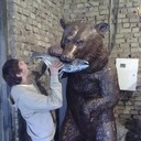  ,   , 37 ,   ,   , c 