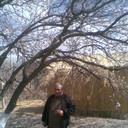  ,   Galust, 69 ,   