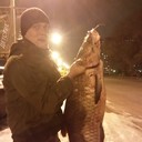 ���������� �����, ���� ������� ������, 41 ���, ������������ ��� ������