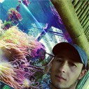 ���������� �����������, ���� ������� �������, 32 ����, ������������ ��� ������, ����� � ���������, c�������� ���������