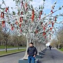 ���������� ��������, ���� ������� Mehrubon, 36 ���, ������������ ��� ������, ����� � ���������, c�������� ���������