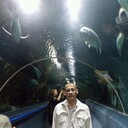 ,    , 50 ,   ,   , c 