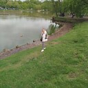  ,   , 57 ,   