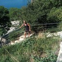 ���������� �����������, ���� ������� �������, 31 ���, ������������ ��� ������, ����� � ���������