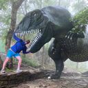  ,   , 39 ,     , c , 