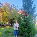  ,   , 71 ,   ,   , c , 