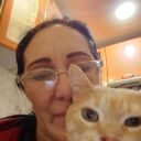 ���������� �����, ���� ������� �����, 72 ����, ������������ ��� ������, ����� � ���������