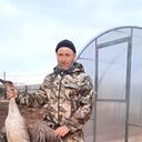 ���������� ���������������, ���� ������� �������, 38 ���, ������������ ��� ����� � ���������, c�������� ���������