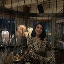 ���������� ����������, ���� ������� ������, 32 ����, ������������ ��� ������, ����� � ���������, c�������� ���������