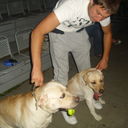 ���������� �����, ���� ������� ����, 34 ����, ������������ ��� ������, ����� � ���������, c�������� ���������