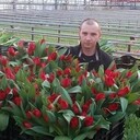 ���������� ������, ���� ������� �������, 37 ���, ������������ ��� ������, ����� � ���������, c�������� ���������