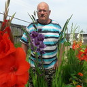  ,   , 61 ,  