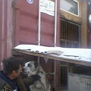 ���������� ������, ���� ������� ����, 58 ���, ������������ ��� ����� � ���������, c�������� ���������