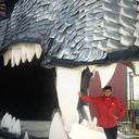  -,   , 40 ,   ,   , c 