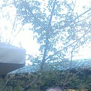 ���������� �����������, ���� ������� ���������, 53 ����, ������������ ��� ������, ����� � ���������, c�������� ���������