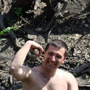  ,   , 43 ,   