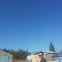 ���������� ��������, ���� ������� ���������, 38 ���, ������������ 