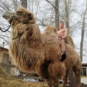 ���������� ������������, ���� ������� �����, 36 ���, ������������ ��� ������, ����� � ���������