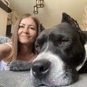 ���������� ���������, ���� ������� �����, 43 ����, ������������ ��� c�������� ���������