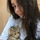  ,   , 22 ,     , c , 