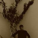  ,   Gag, 33 ,   ,   , c 