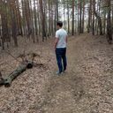 ���������� ���������, ���� ������� ���������, 36 ���, ������������ ��� c�������� ���������