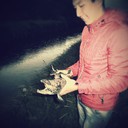  ,   , 33 ,   ,   , c 