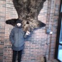   ,   , 33 ,   ,   , c , 