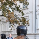 ���������� ����, ���� ������� ���������, 42 ����, ������������ ��� ������, ����� � ���������, c�������� ���������