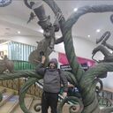 ���������� ����, ���� ������� ���������, 44 ����, ������������ ��� ������, ����� � ���������