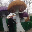  ,   Bogdan, 40 ,   ,   , c 