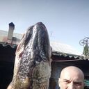  ,   , 48 ,   ,   , c 
