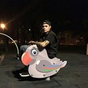 ���������� ����������, ���� ������� ������, 28 ���, ������������ ��� ������, ����� � ���������