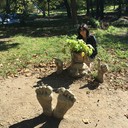  --,   , 53 ,   ,   , c 