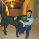 ���������� ������, ���� ������� ������, 42 ����, ������������ ��� ����� � ���������, ���������